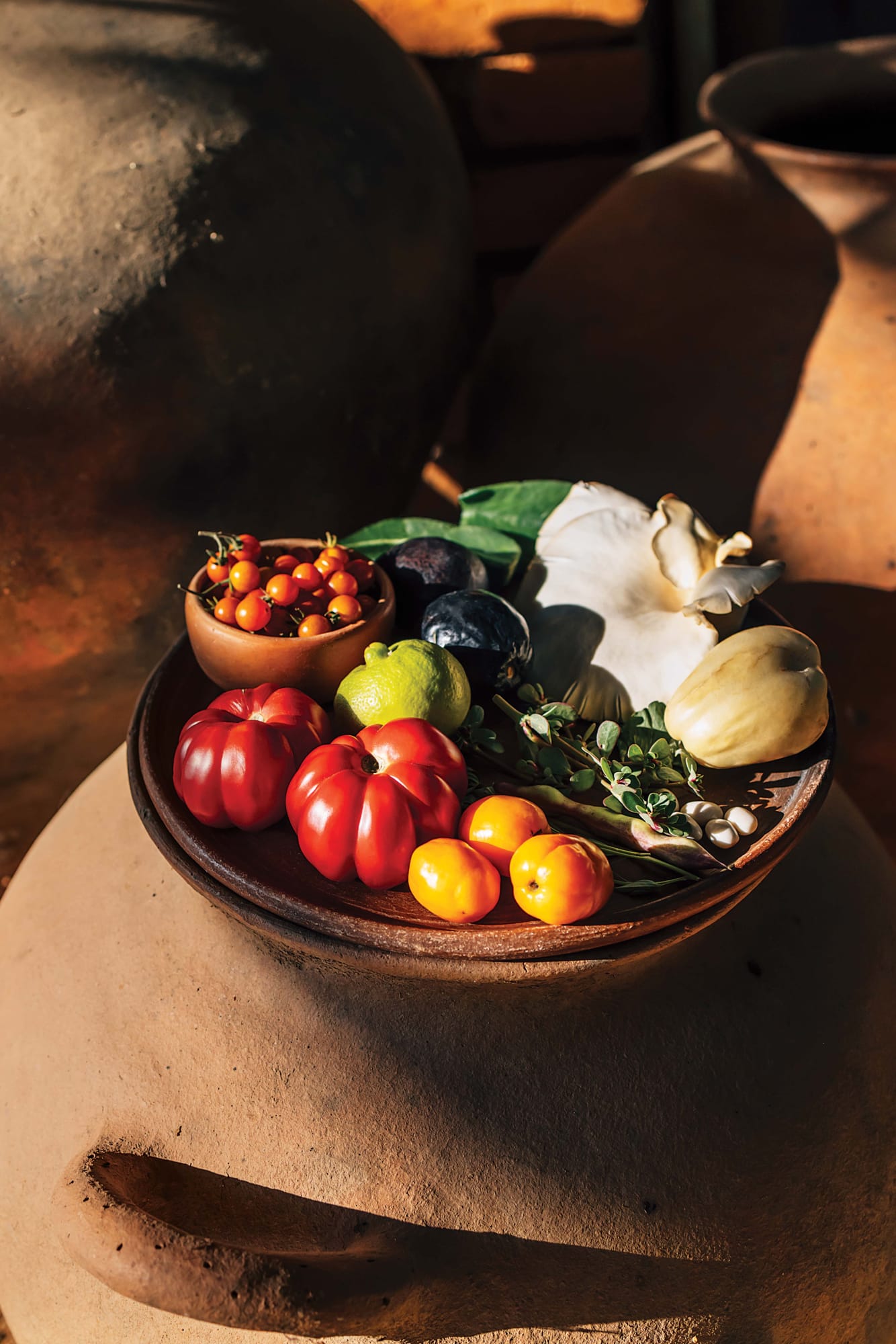 ALFONSINA_Monica Godefroy20240829_012