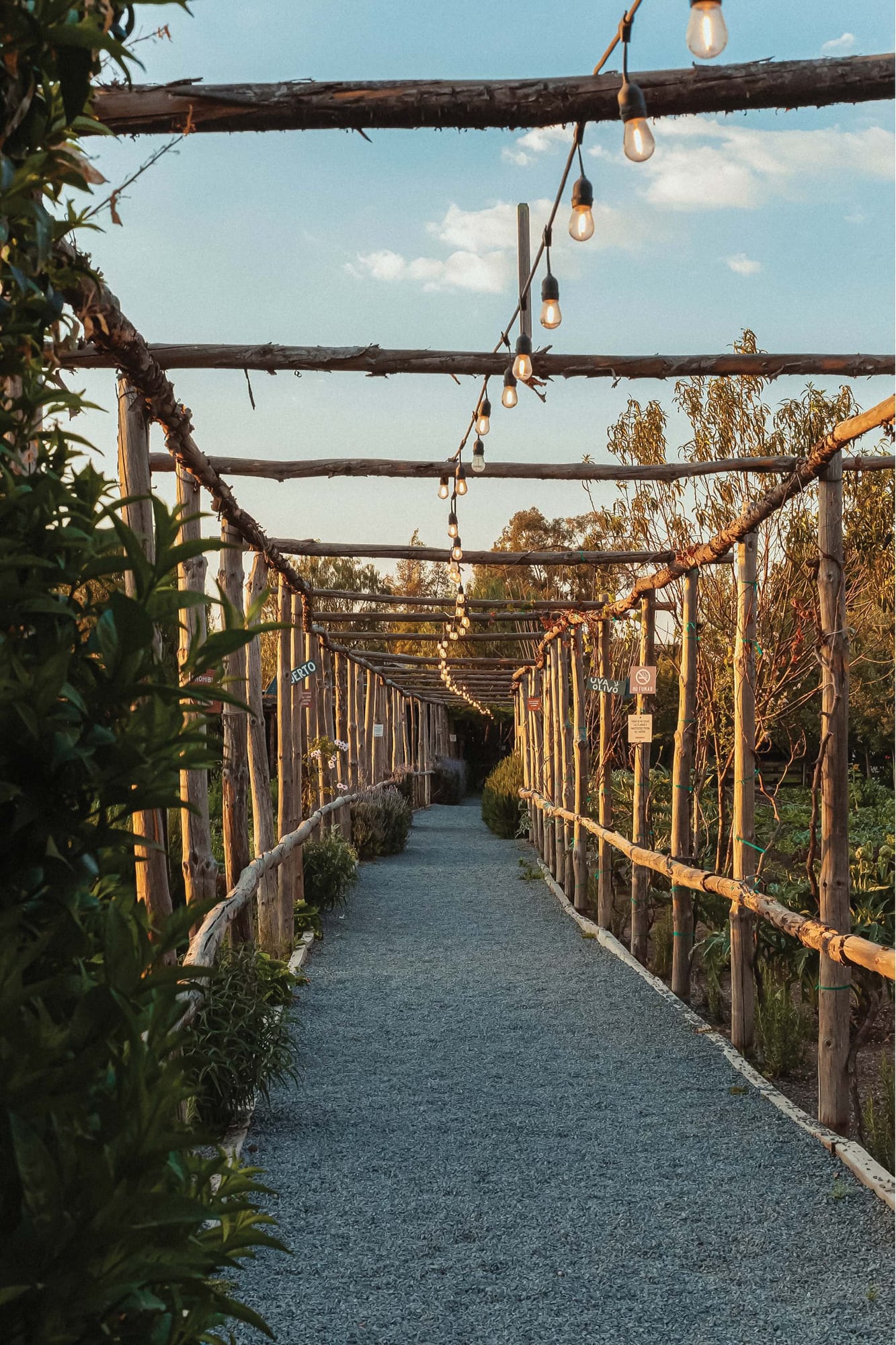 BarbaroAsadorDeCampo___0001_BARBARO_MARZO_restantes-172 (2)